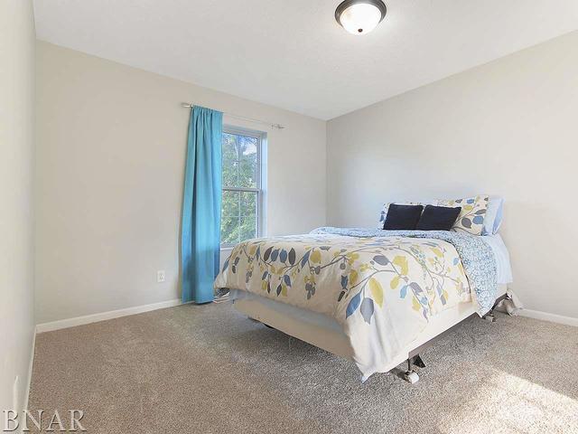 19000 Springfield Road Groveland, IL 61535 - Photo 18 of 30