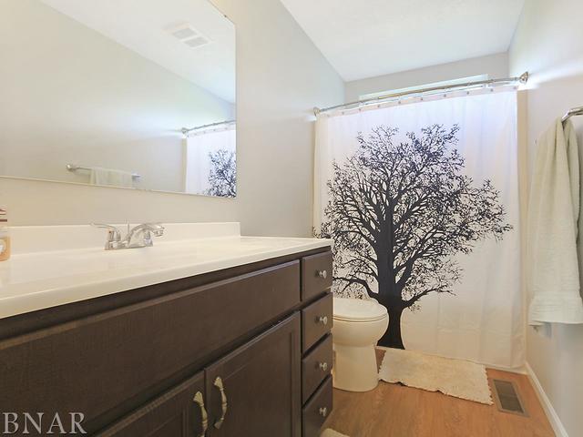 19000 Springfield Road Groveland, IL 61535 - Photo 19 of 30