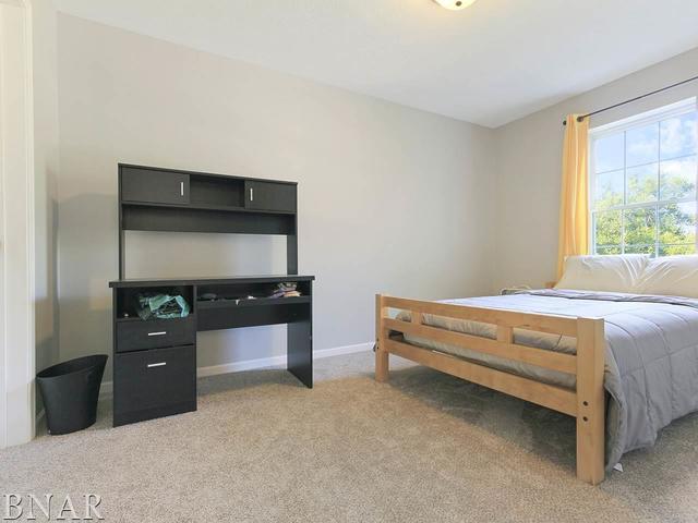 19000 Springfield Road Groveland, IL 61535 - Photo 20 of 30
