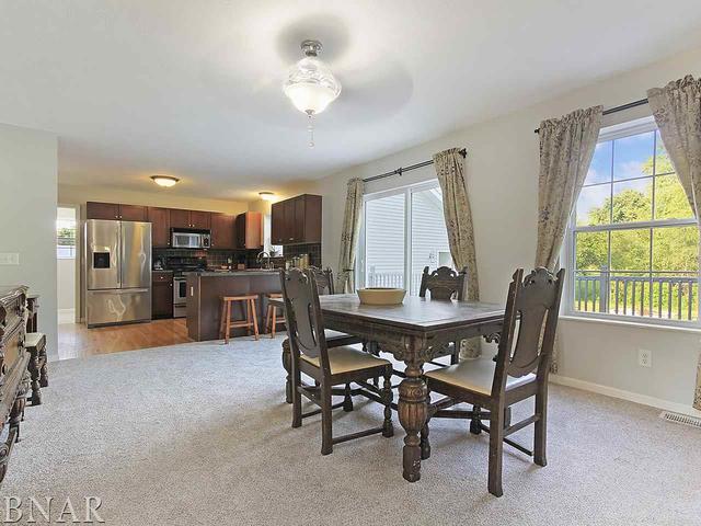 19000 Springfield Road Groveland, IL 61535 - Photo 10 of 30