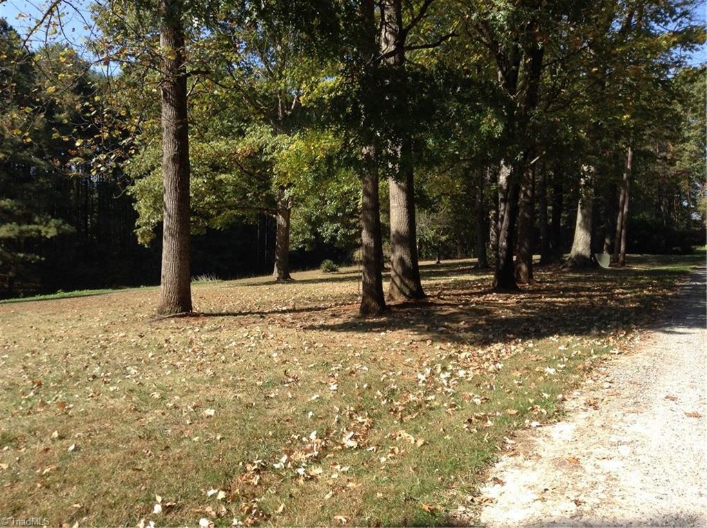 242 Arthur Haney Road Dobson, NC 27017 - Photo 3 of 30 Gallery Image 3