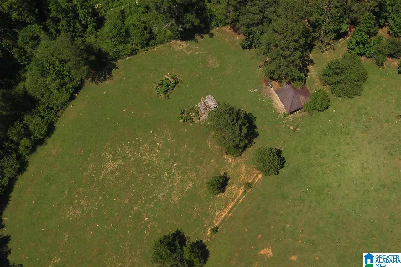 0 Williams Road, Unit 1 Jacksonville, AL 36265 - Photo 10 of 11
