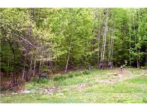 37 Little City Road Farmington, NH 03835 - Photo 6 of 6