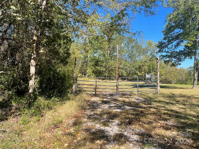 a view of a yard with large trees