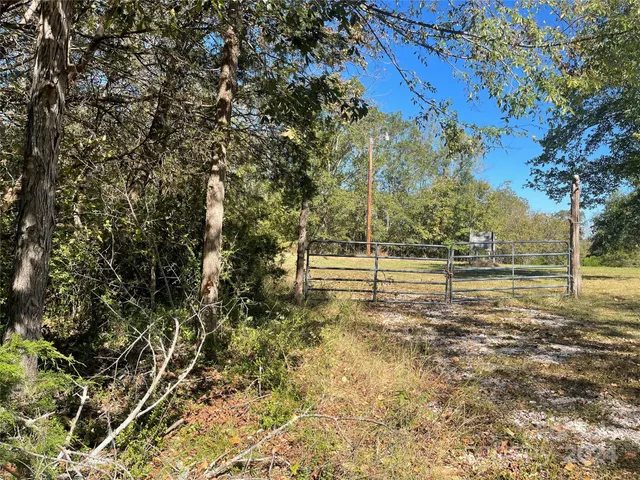 a view of backyard with green space