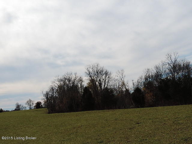 3098 Sulphur Road Sulphur, KY 40070 - Photo 32 of 48 3098 Sulphur Road 050
