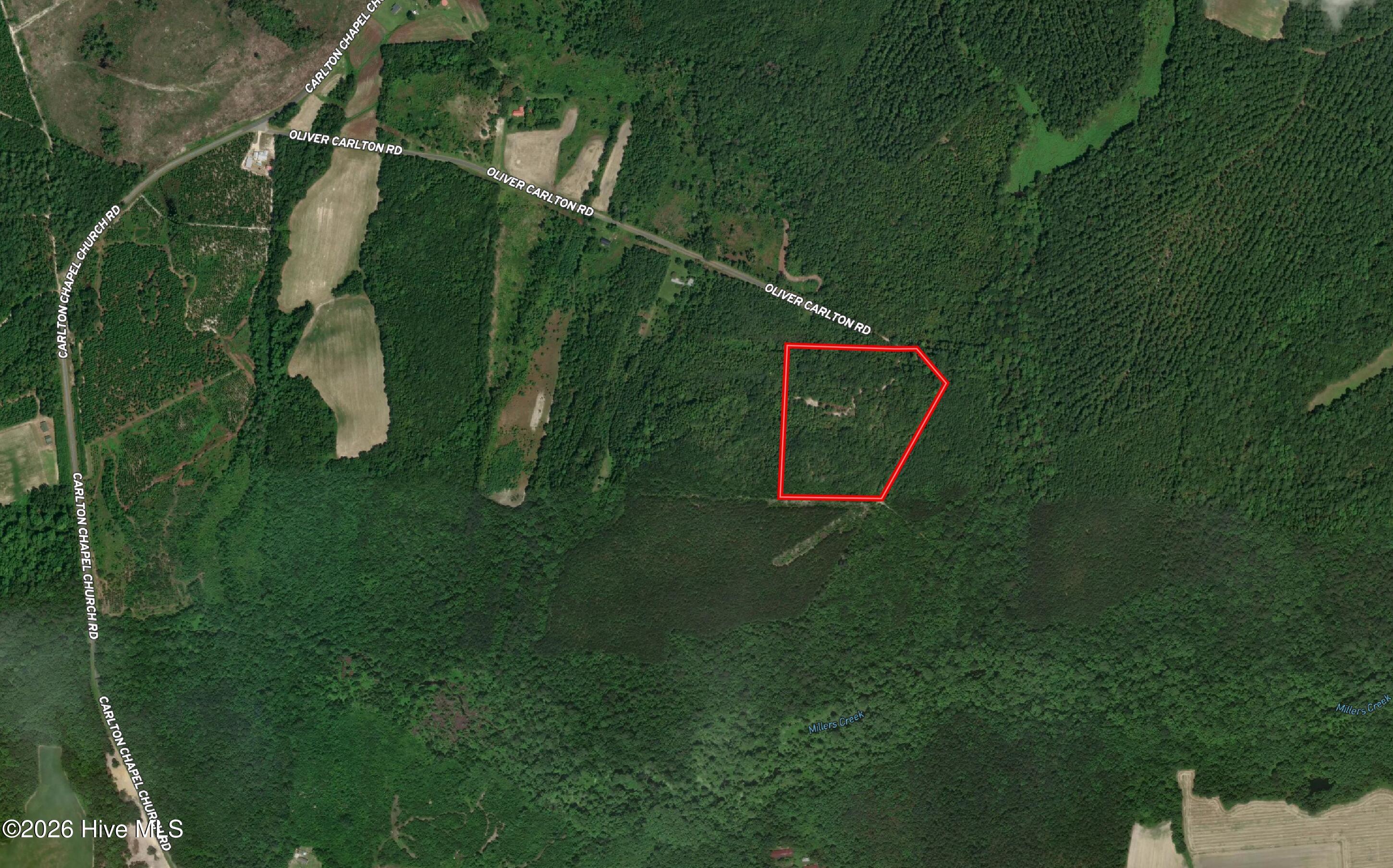 Tbd Oliver Carlton Road Warsaw, NC 28398 - Photo 4 of 15
