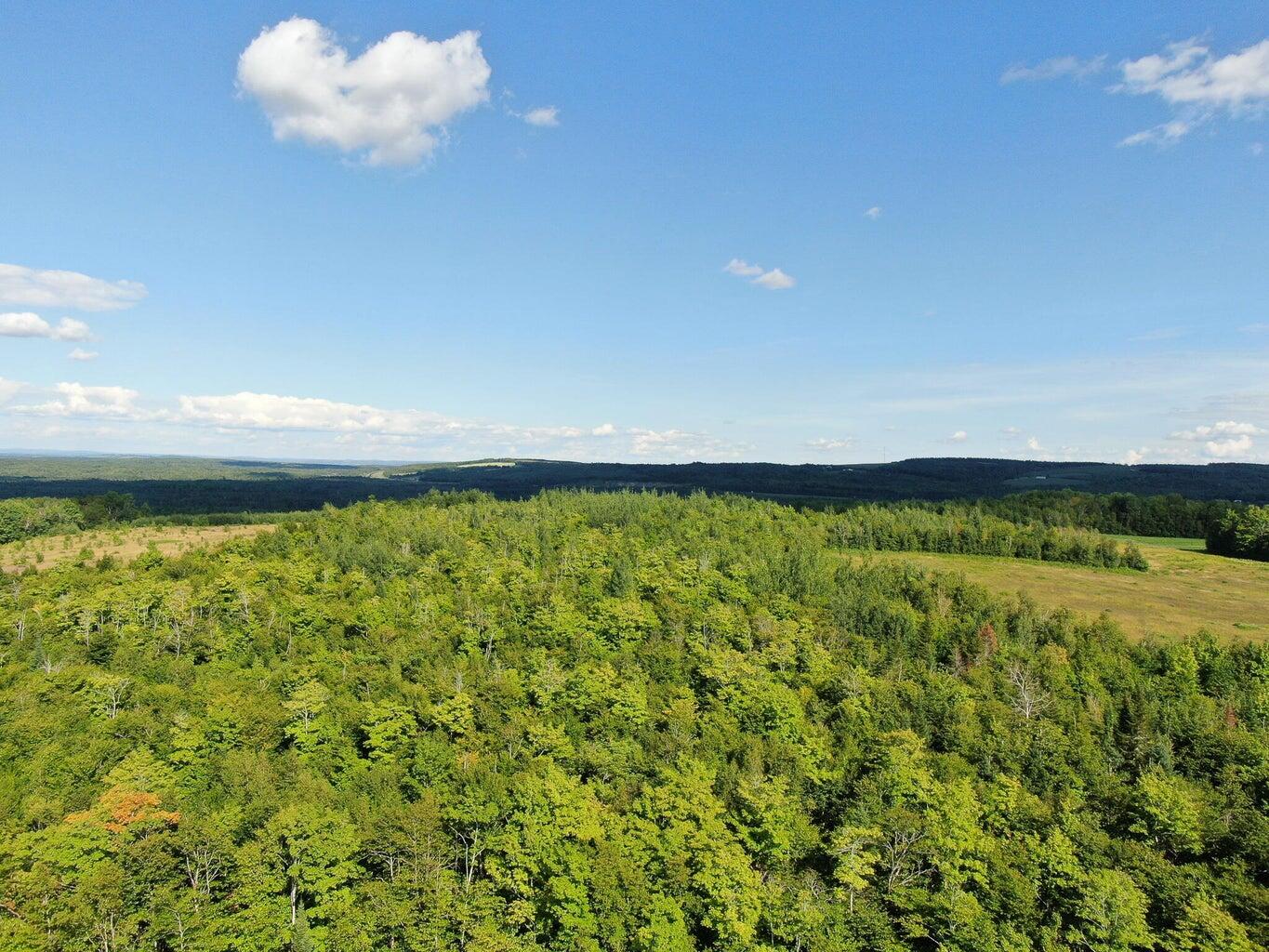 19 B Callnan Road Houlton, ME 04730 - Photo 4 of 13 20220818161216337901000000-o