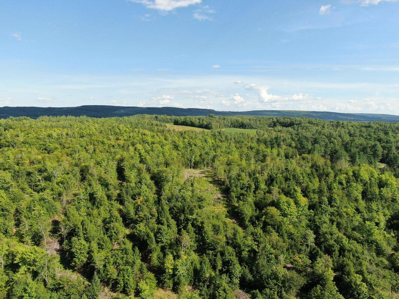 19 B Callnan Road Houlton, ME 04730 - Photo 5 of 13 20220818161224200823000000-o