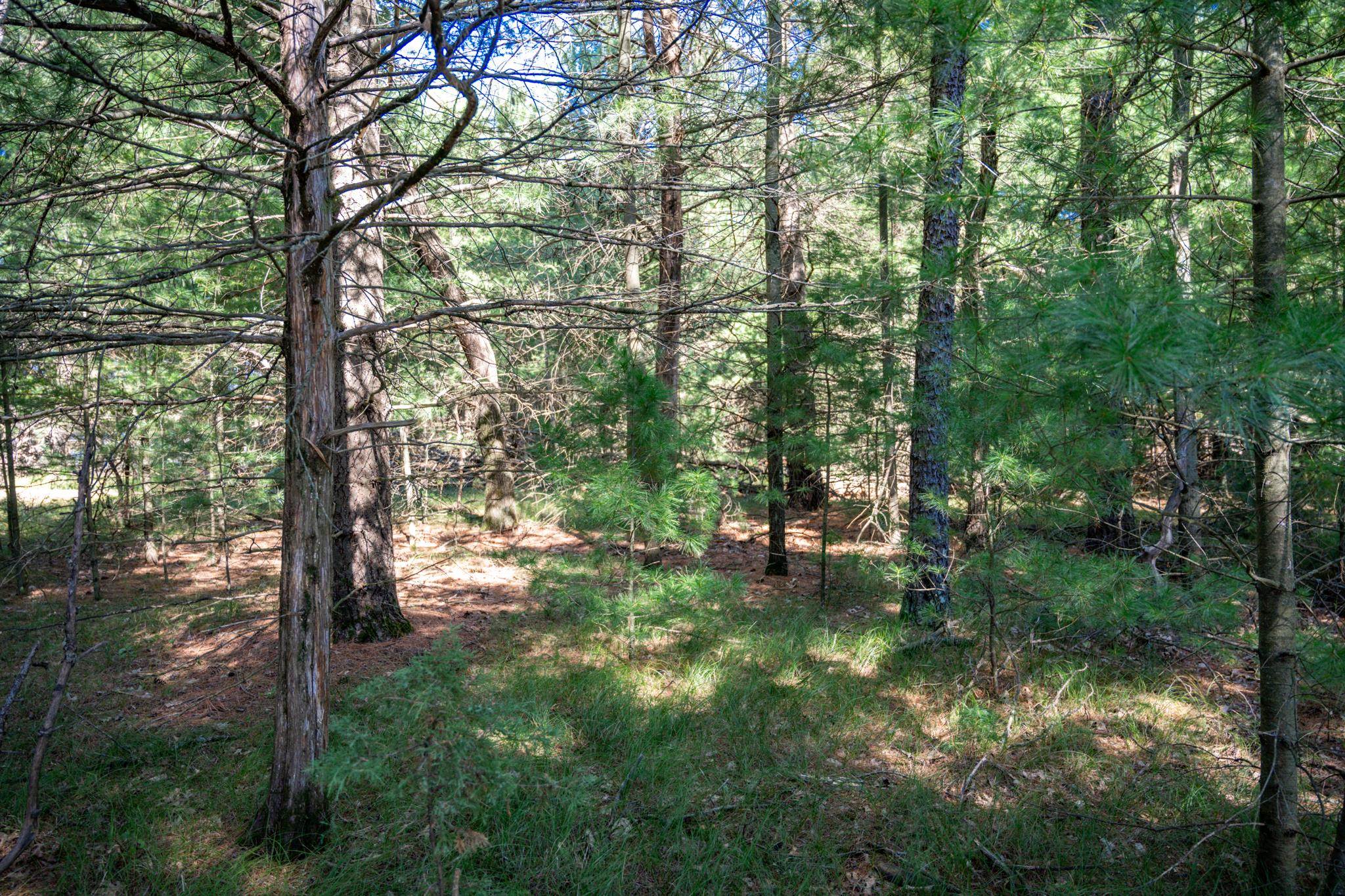 Lot 6 Cherokee New Lisbon, WI 53950 - Photo 9 of 25