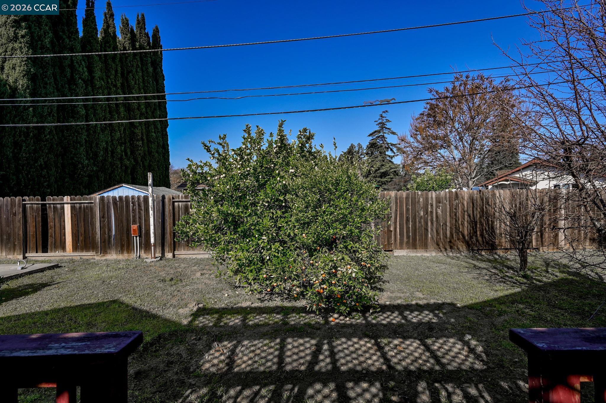 1921 Gilly Lane Concord, CA 94518 - Photo 22 of 29 a view of a backyard