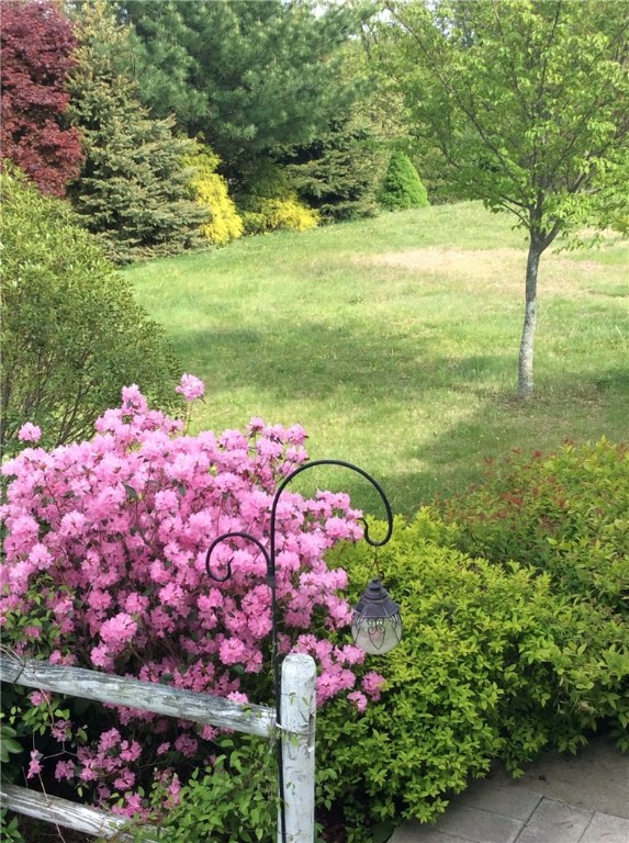 76 Hines Road Cumberland, RI 02864 - Photo 36 of 40 Mature Landscaping throughout the Grounds is Lush with an Array of Perennials & Grasses as well as Apple, Fig & Pear Trees, Just to name a few.