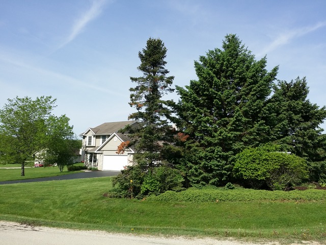 5186 East Walden Road Byron, IL 61010 - Photo 2 of 21