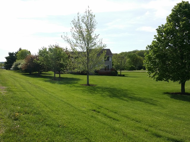 5186 East Walden Road Byron, IL 61010 - Photo 3 of 21