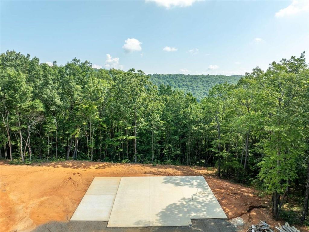 1298 Cold Stream Trail Jasper, GA 30143 - Photo 17 of 57
