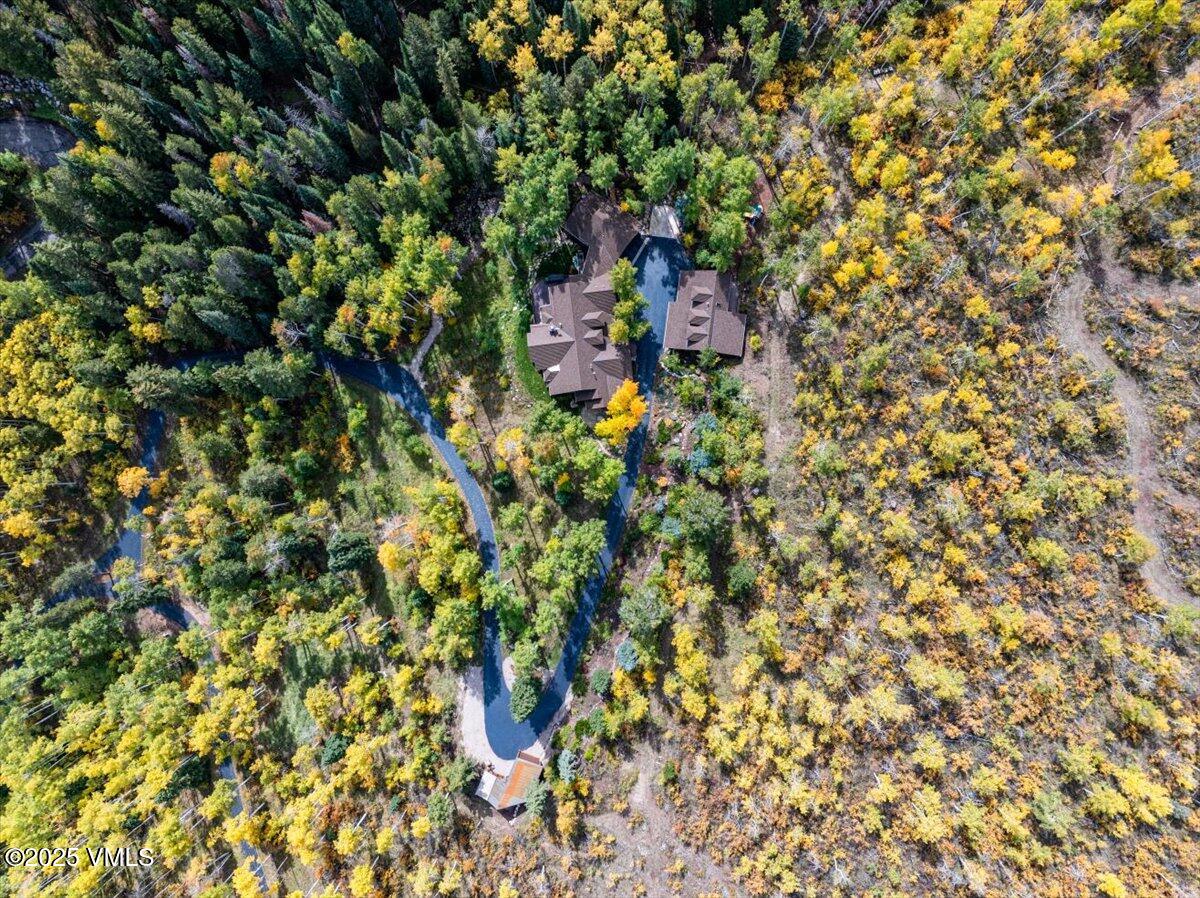 575 Pilgrim Drive Edwards, CO 81632 - Photo 25 of 109 Fall aerial 575 Pilgrim Drive