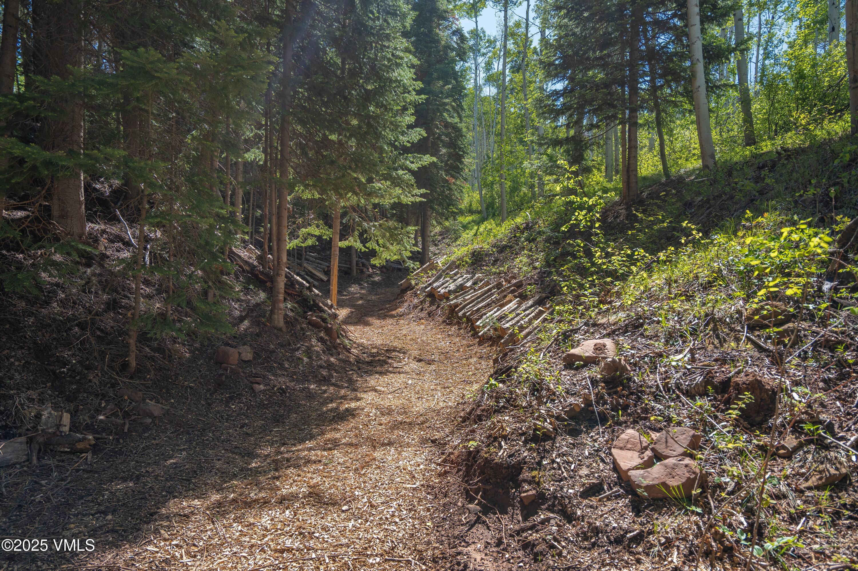 575 Pilgrim Drive Edwards, CO 81632 - Photo 26 of 109 Private Trail System thru 575 Pilgrim