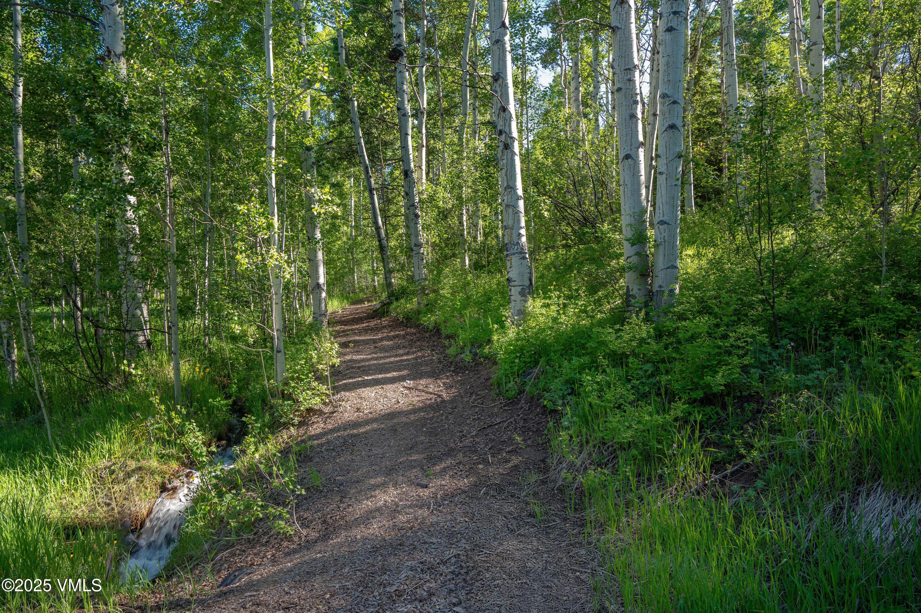 575 Pilgrim Drive Edwards, CO 81632 - Photo 77 of 109 Private Community Trails