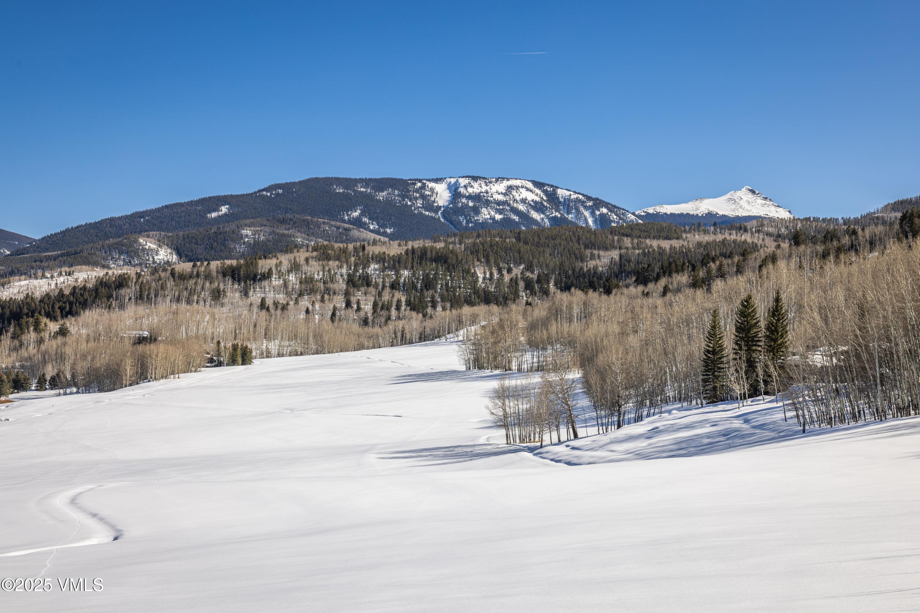 575 Pilgrim Drive Edwards, CO 81632 - Photo 78 of 109 Pilgrim Downs - Lake Creek Colorado