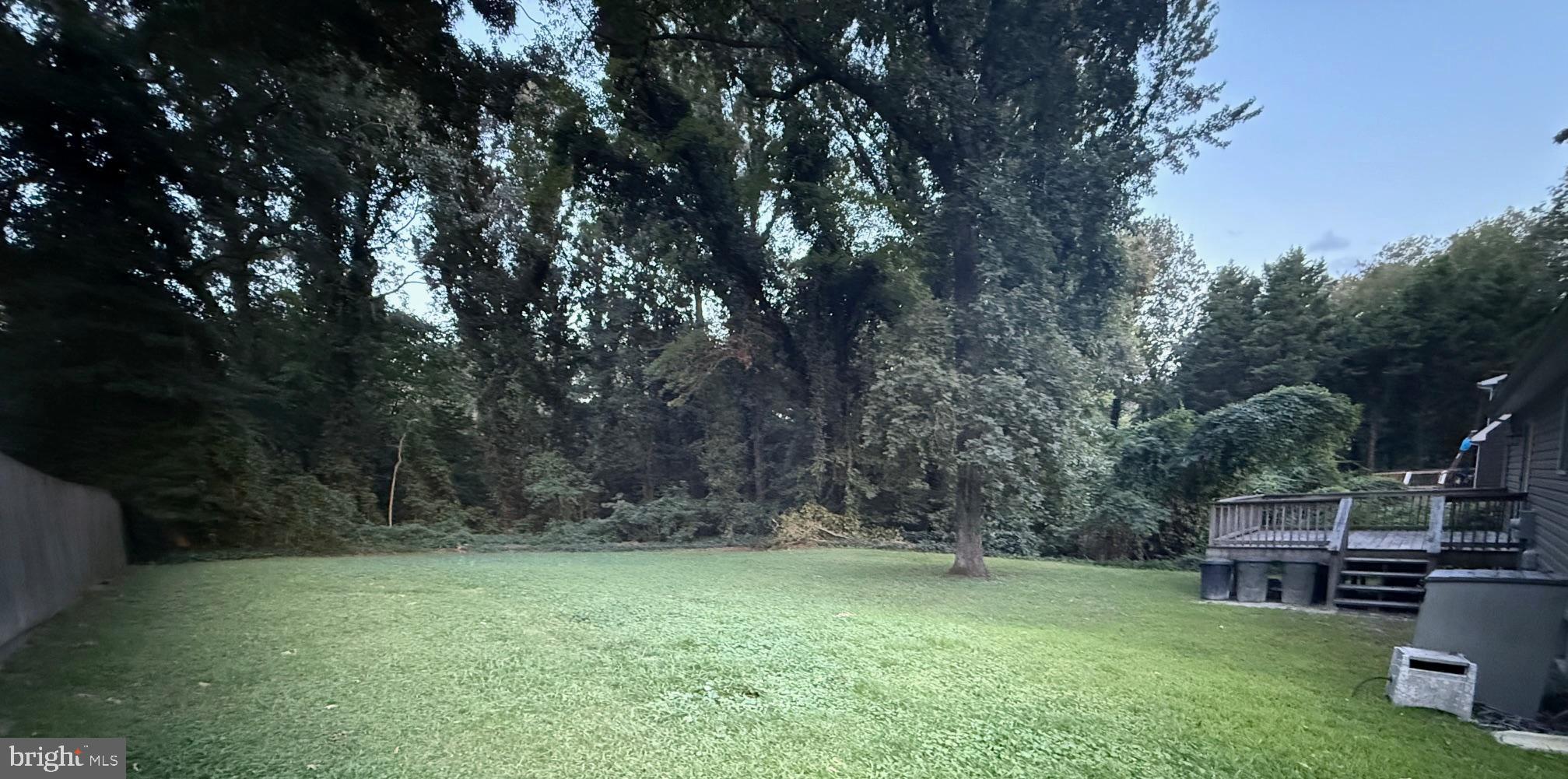 6209 Rockawalkin Road Salisbury, MD 21801 - Photo 19 of 37 a view of a backyard with furniture