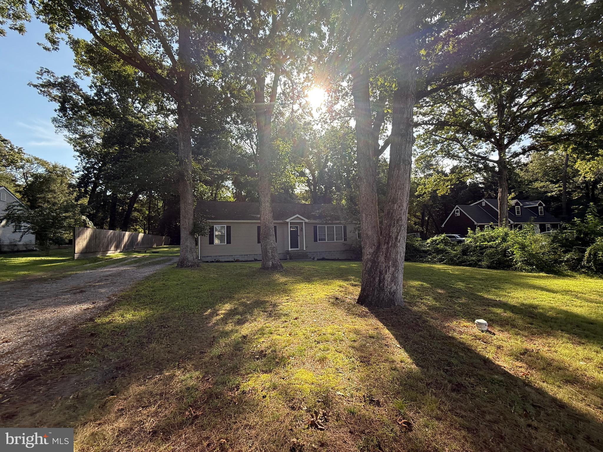 6209 Rockawalkin Road Salisbury, MD 21801 - Photo 3 of 37 a view of a yard with a large tree