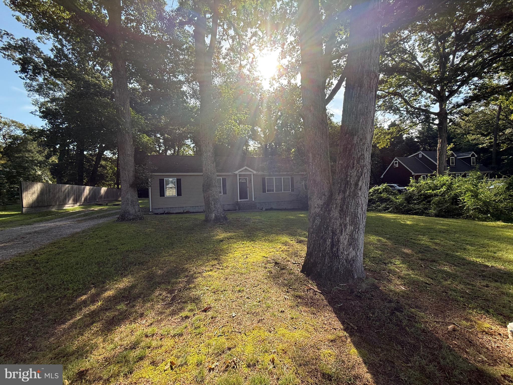 6209 Rockawalkin Road Salisbury, MD 21801 - Photo 7 of 37 a view of a yard with plants and large trees
