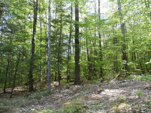 29 Canton Mountain Road Canton, ME 04221 - Photo 24 of 35 P6030259