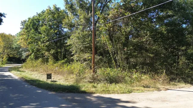 a view of a yard with trees