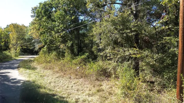 a view of a yard with plants and wooden bench