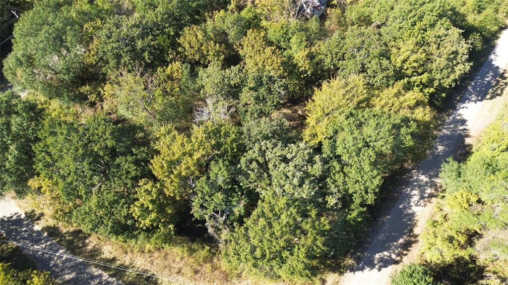 199 Coahoma Street Mabank, TX 75156 - Photo 6 of 13 a view of a lush green forest