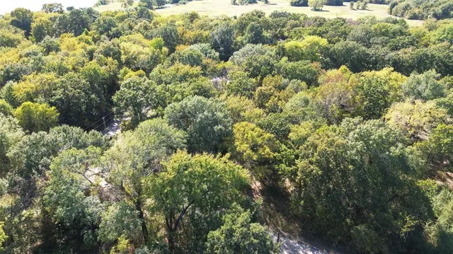 a view of a flower garden in a backyard