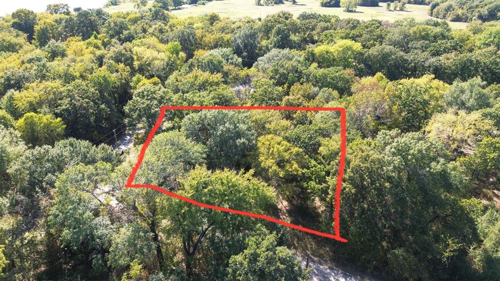 199 Coahoma Street Mabank, TX 75156 - Photo 9 of 13 a view of a flower garden in a backyard