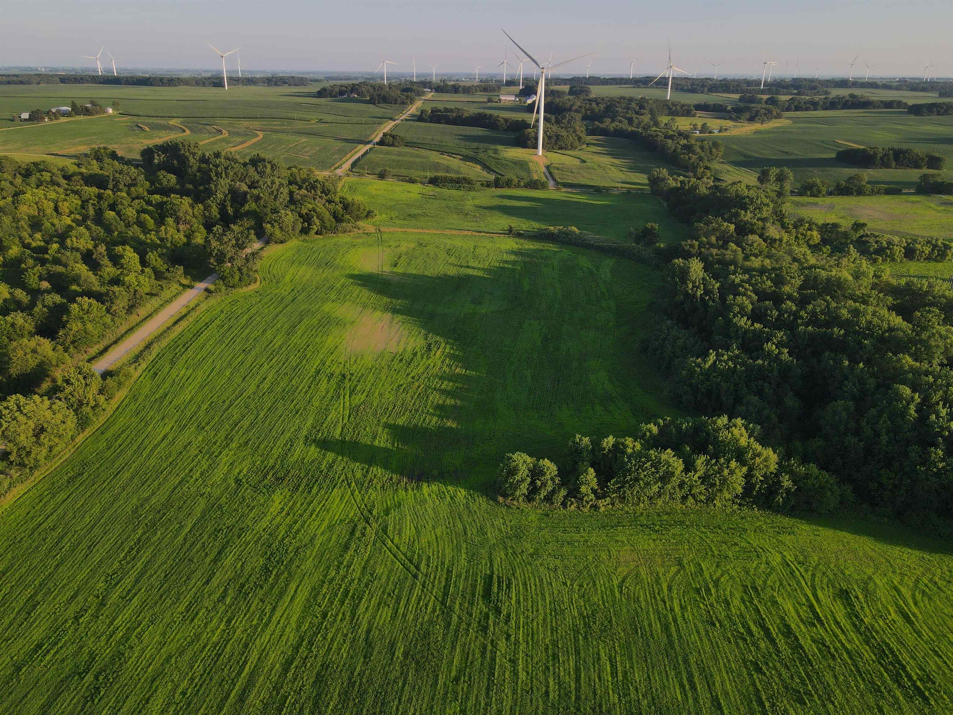 0 Todd Road Amboy, IL 61310 - Photo 23 of 58