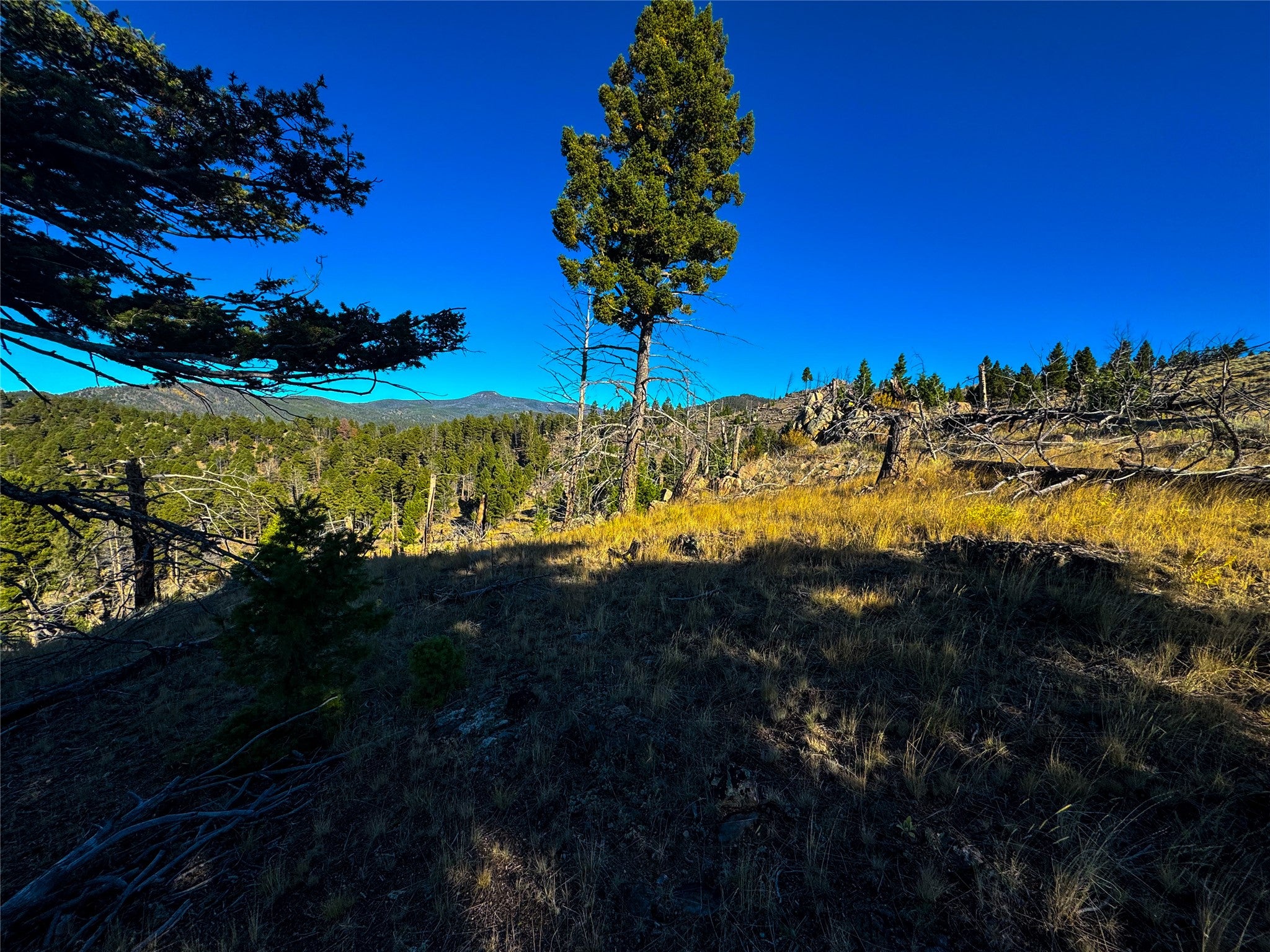 Tbd (40.1-ac) Tbd (40.1-ac) High Ore Road Boulder, MT 59632 - Photo 47 of 62 Gallery Image 47