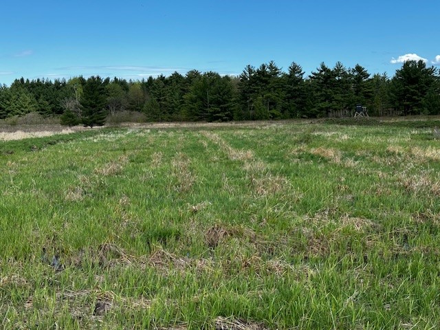 0 Granton Road Neillsville, WI 54456 - Photo 21 of 33