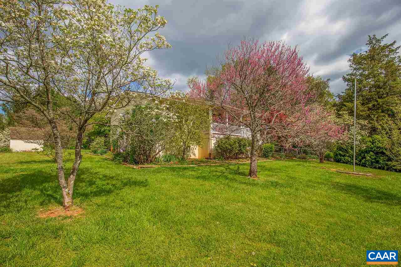 52 Morning Glory Road Ruckersville, VA 22968 - Photo 19 of 38 a backyard of a house with plants and large trees