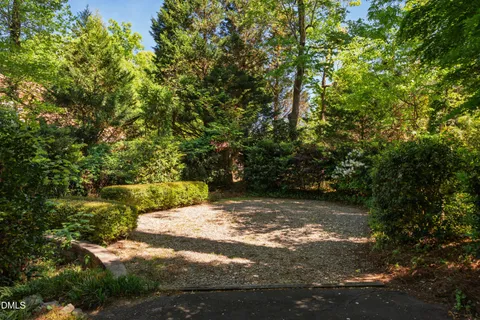 a view of backyard of the house