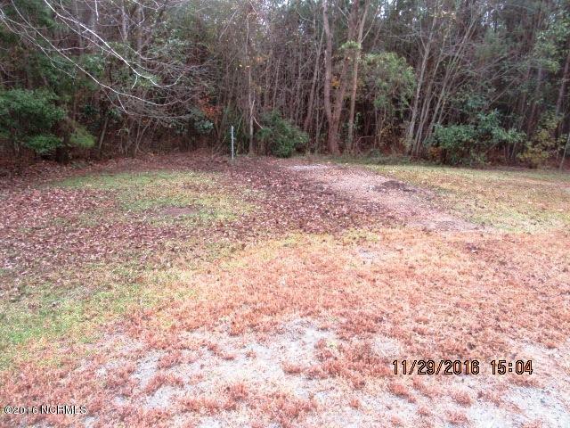 130 Pate Road New Bern, NC 28562 - Photo 13 of 15 130 Pate Backyard