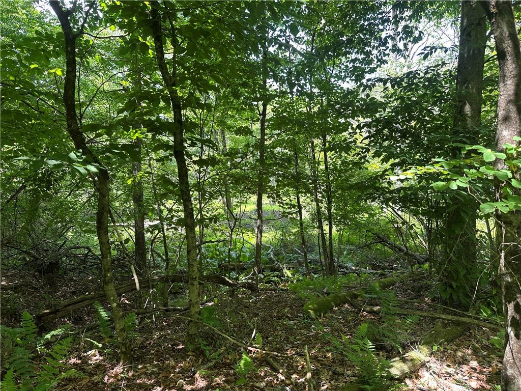 0 Cooperstown Road Cooperstown, PA 16317 - Photo 9 of 23