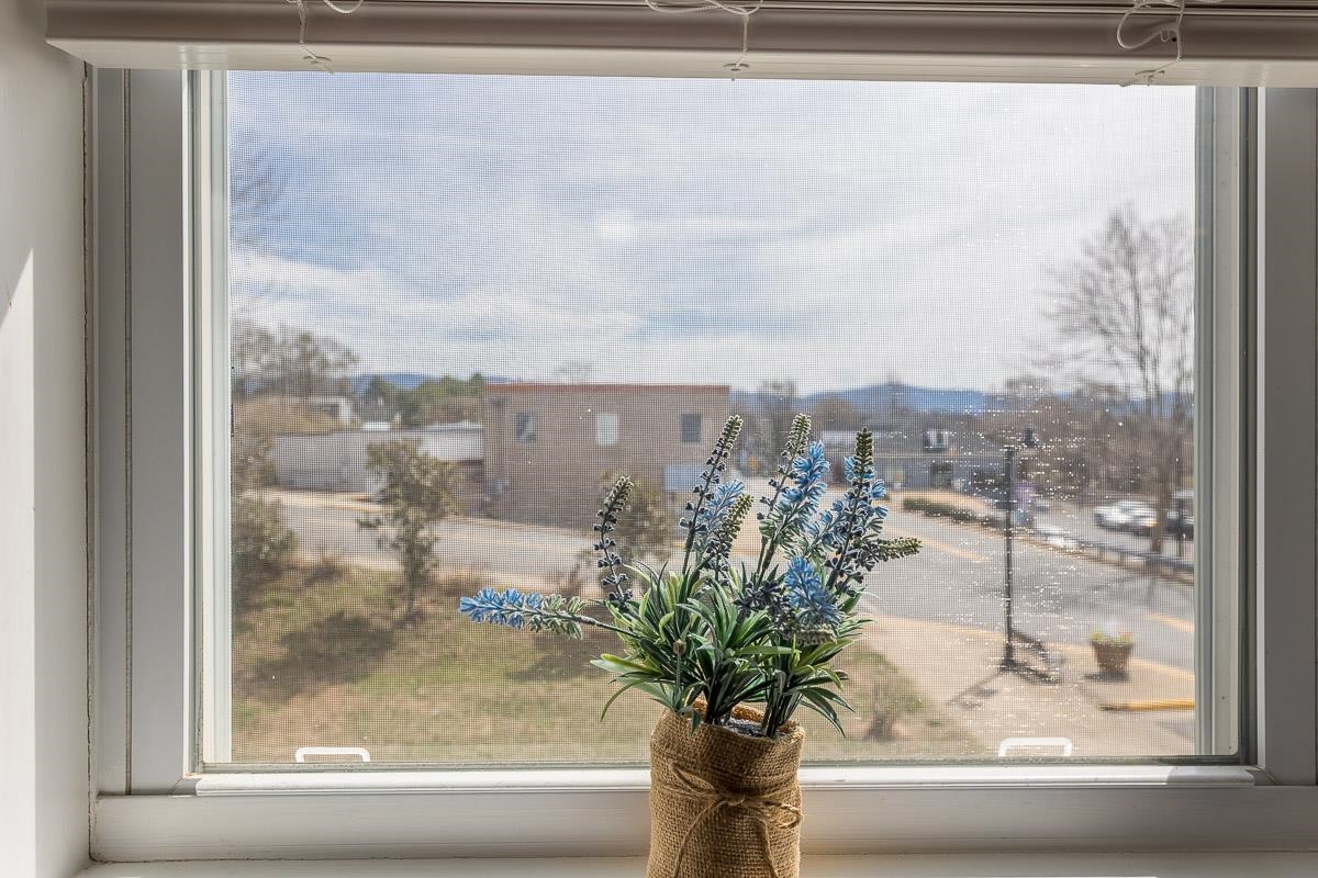 442 First Street Shenandoah, VA 22849 - Photo 21 of 75 a vase of flowers sitting on a window sill and a glass door