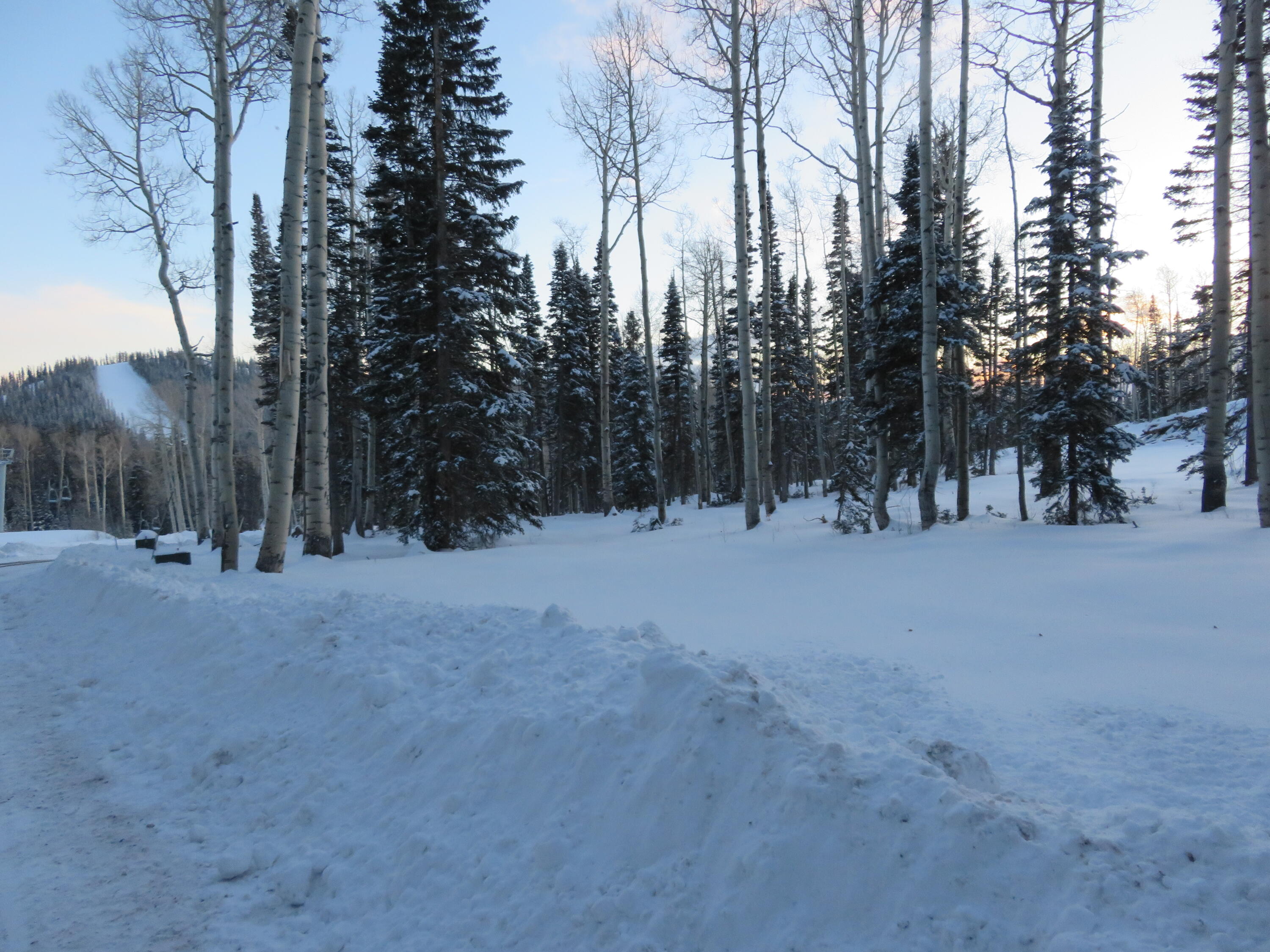 Tushar Mountain Estates, Unit 9 Beaver, UT 84713 - Photo 11 of 14 2026-01-08 18.14.02