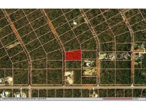 0 Southwest 135th Ct Road Ocala, FL 34481 - Photo 1 of 1 Primary Photo