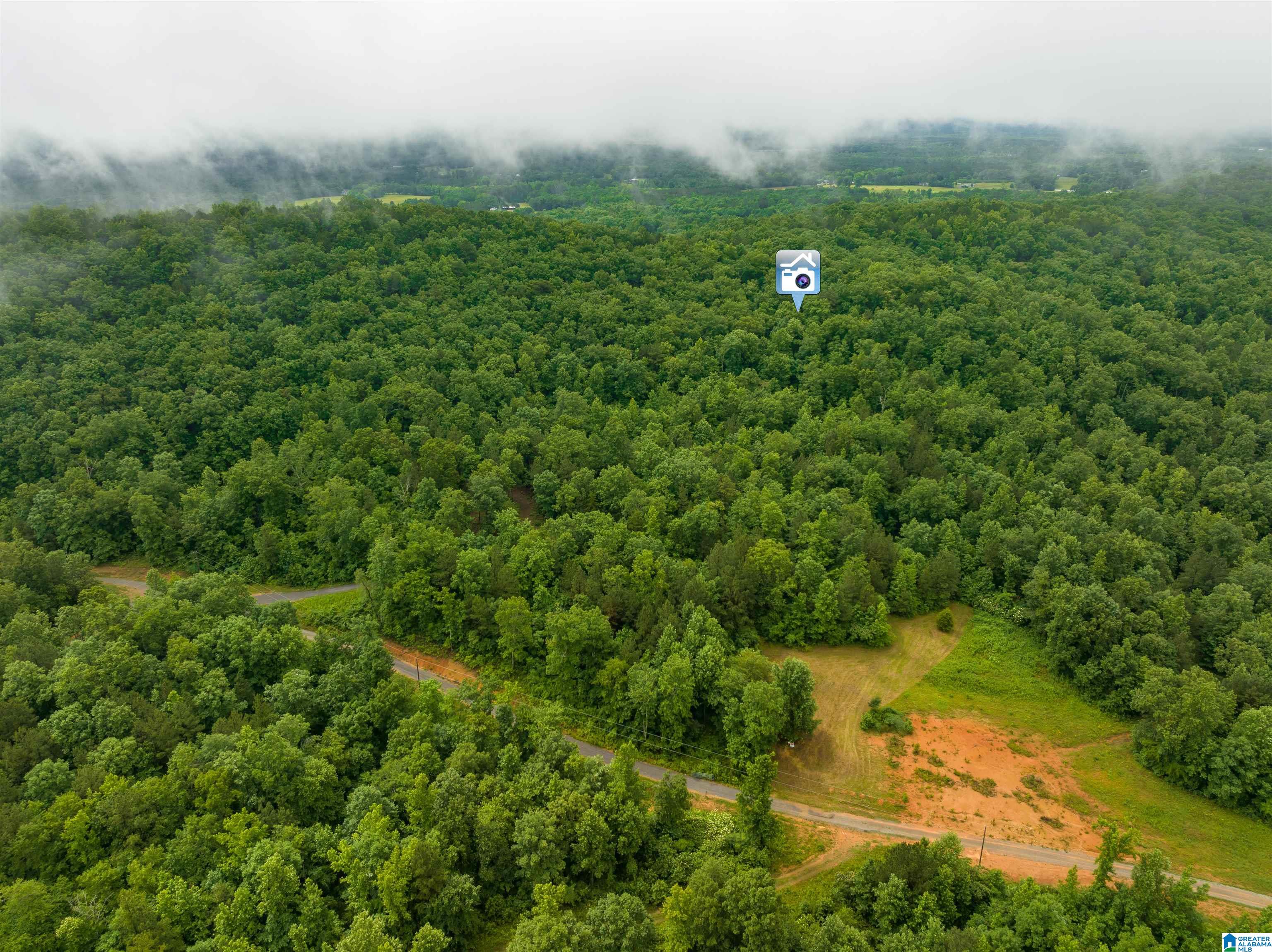 0 Crawford Cove Road Springville, AL 35146 - Photo 5 of 11