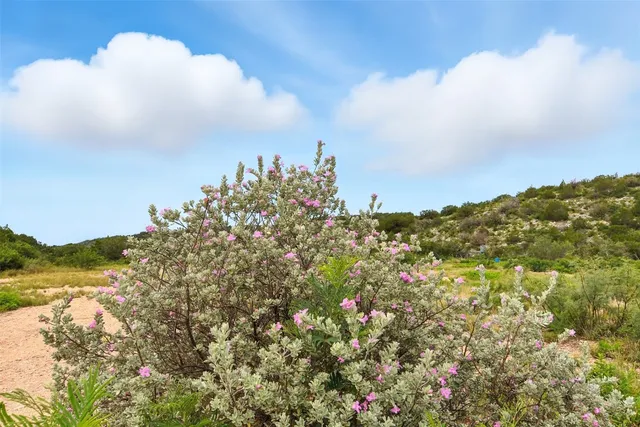 a view of a large building