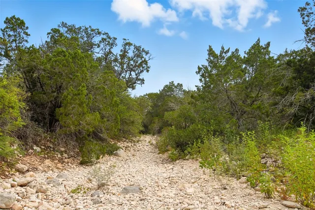 a view of a yard with a tree