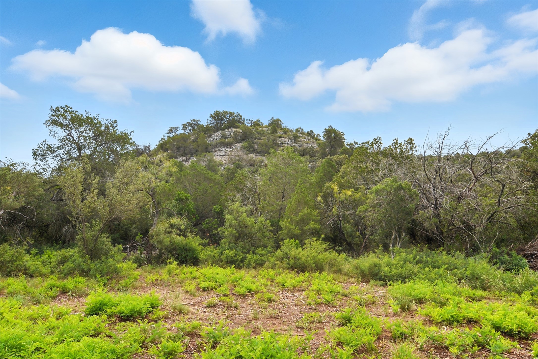 1922 SD 65071 Del Rio, TX 78840 - Photo 26 of 40 a view of a yard