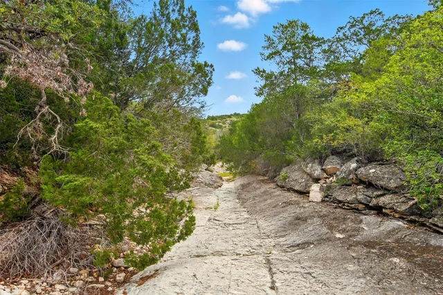 a view of a wooden floor with a tree