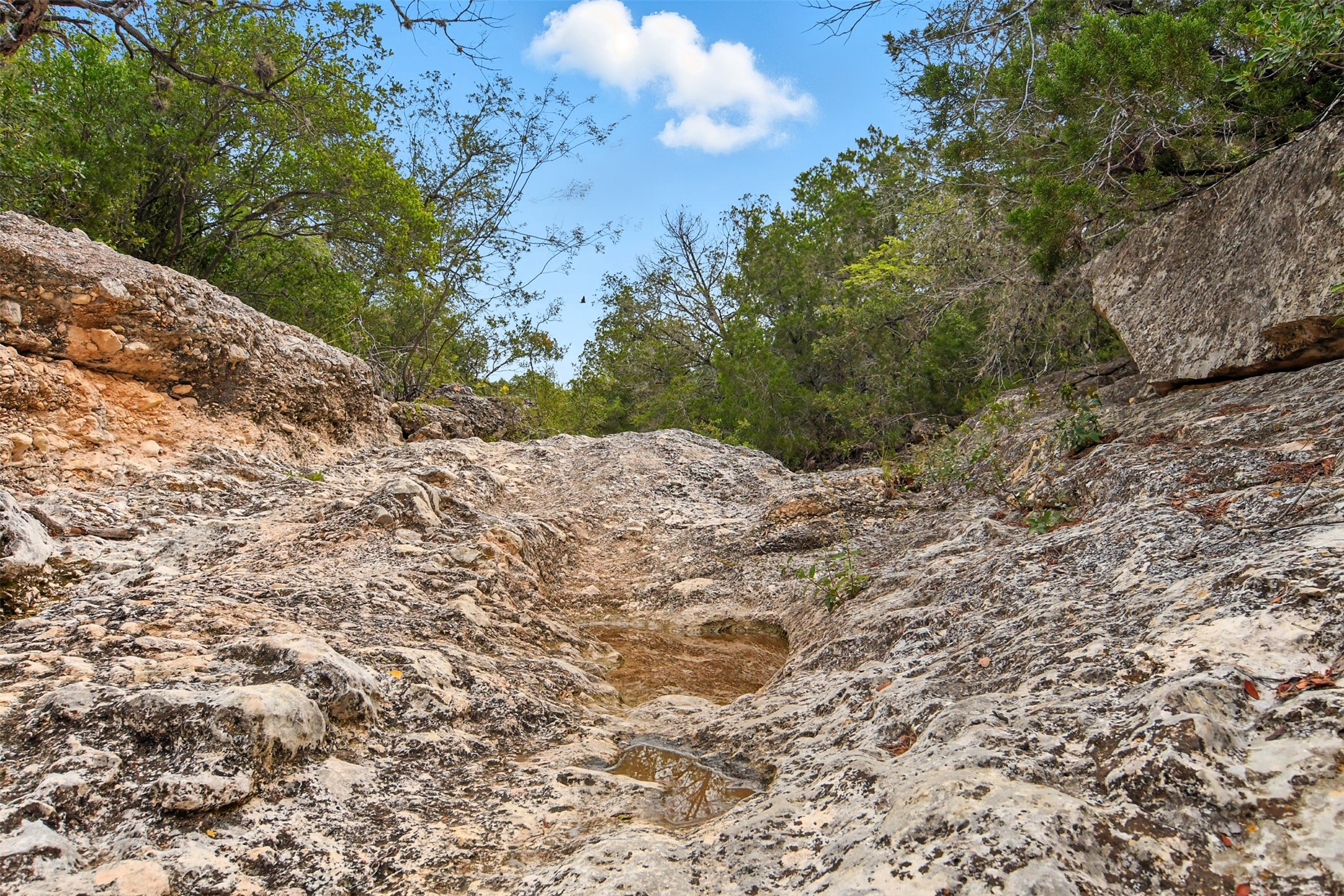 1922 SD 65071 Del Rio, TX 78840 - Photo 29 of 40 a view of a dry yard with trees