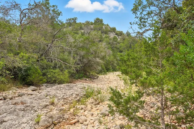 a view of a yard with a tree