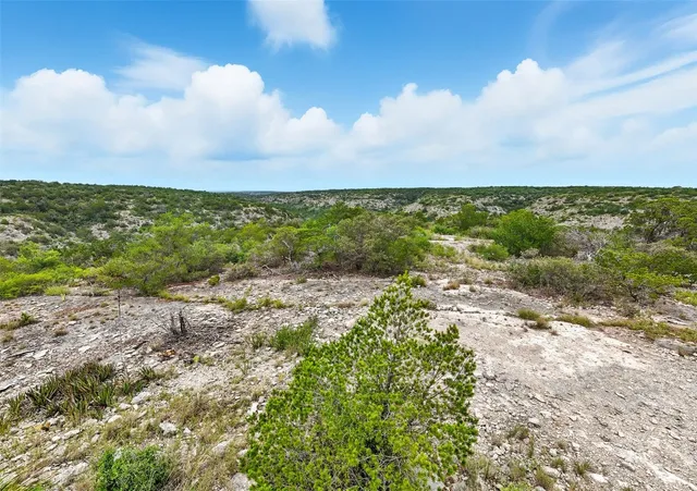 a view of a pathway both side of yard